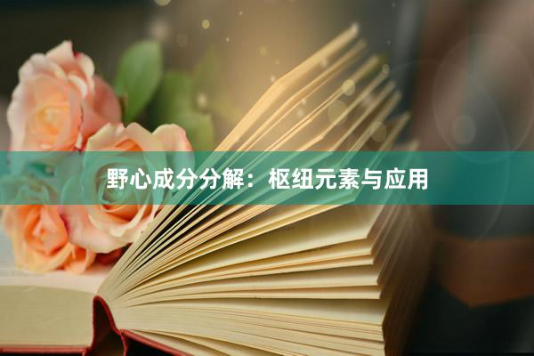 野心成分分解：枢纽元素与应用