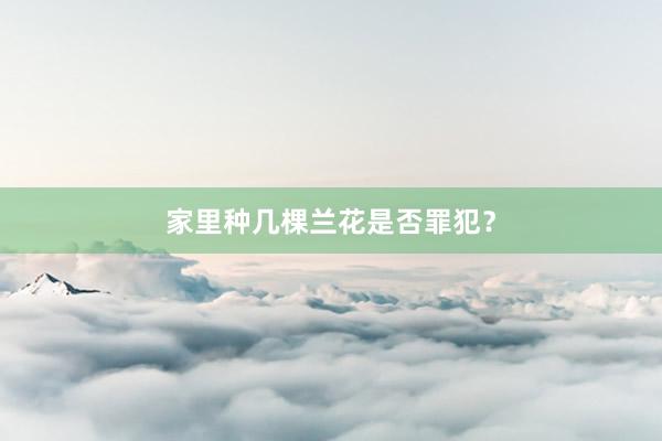家里种几棵兰花是否罪犯？
